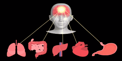 自律神経失調症　克服　整体　横浜　改善 治療院　治療　治る　病院